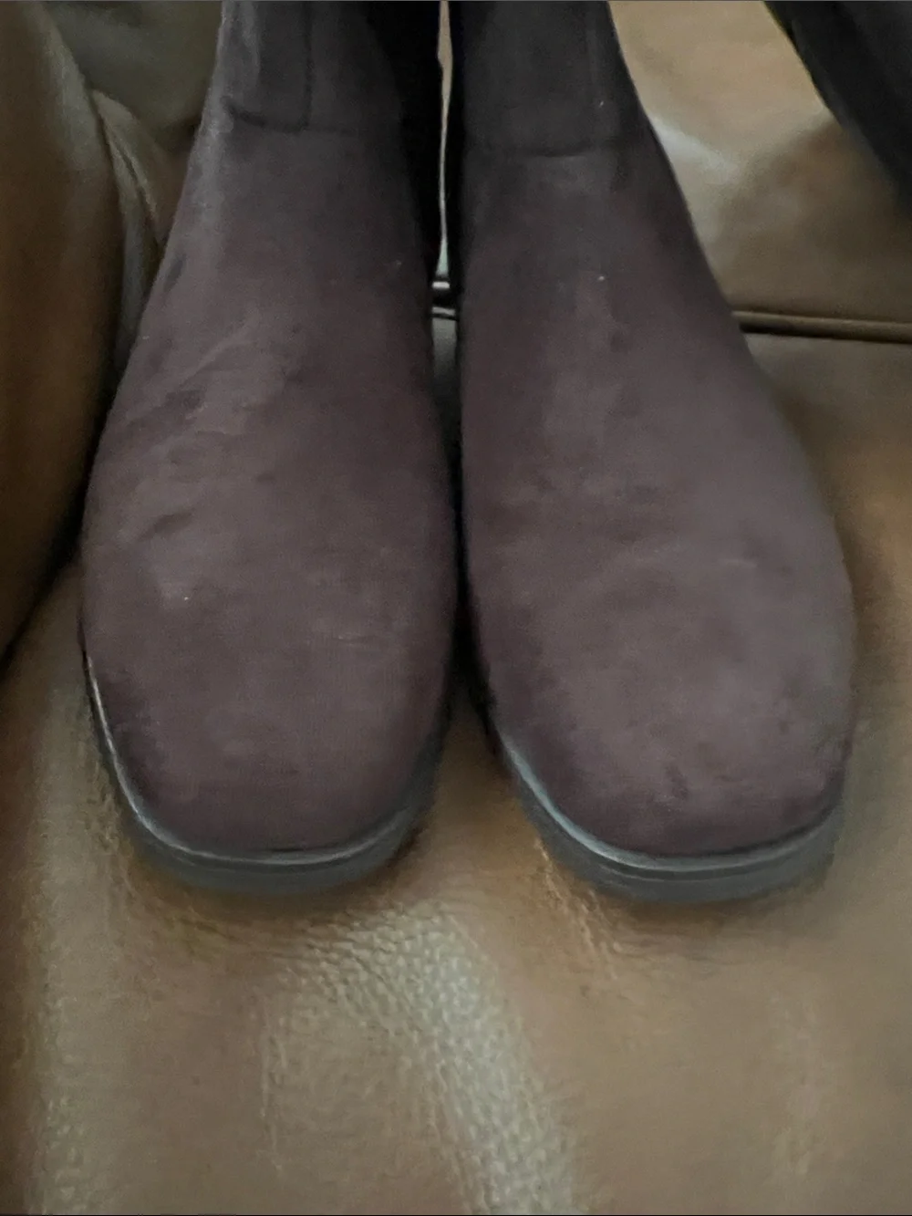 Splendid Marise tall suede boots in spice